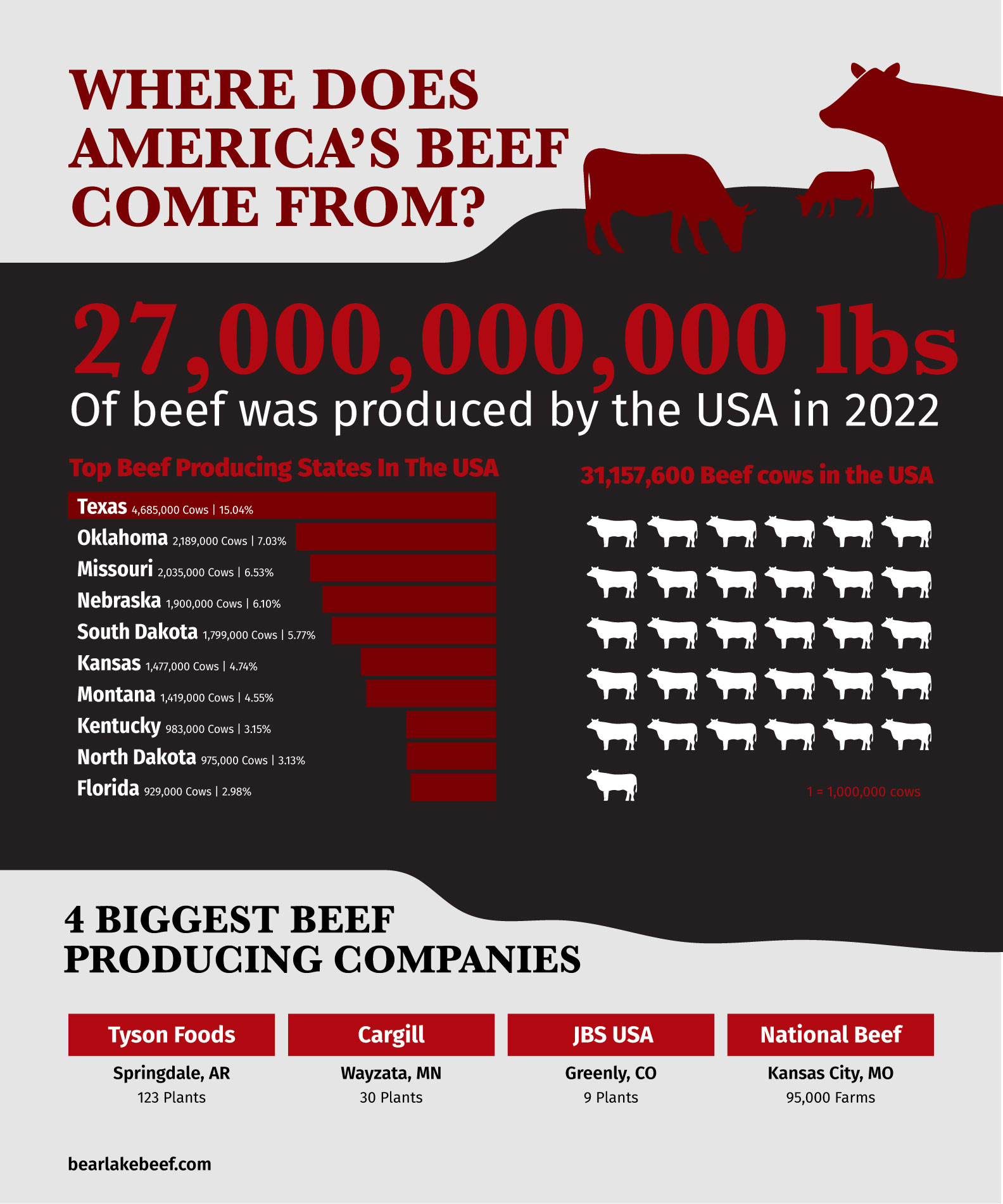 Where Did Ground Beef Come From